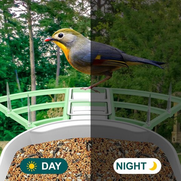 Smart Bird Feeder Camera AI Bird identification, Photos/Videos Phone App - Picture 7 of 8